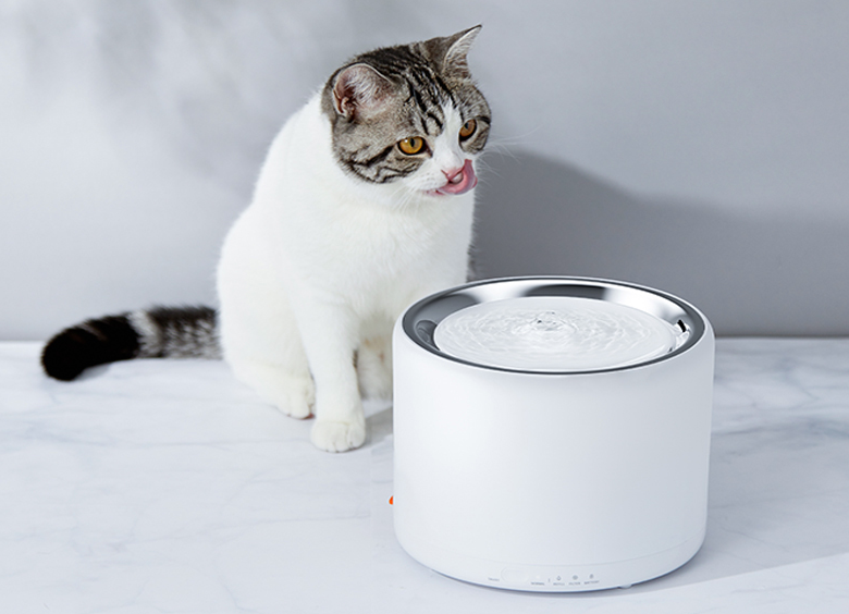 小佩宠物智能猫咪饮水机-小佩智能饮水机3